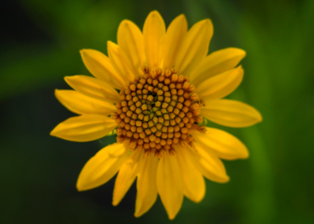 Img 0240 Photography Art | Captured Adventure Photography