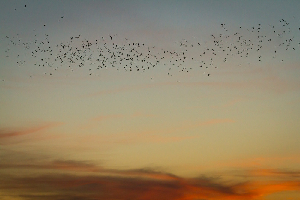 Img 0367 Photography Art | Captured Adventure Photography