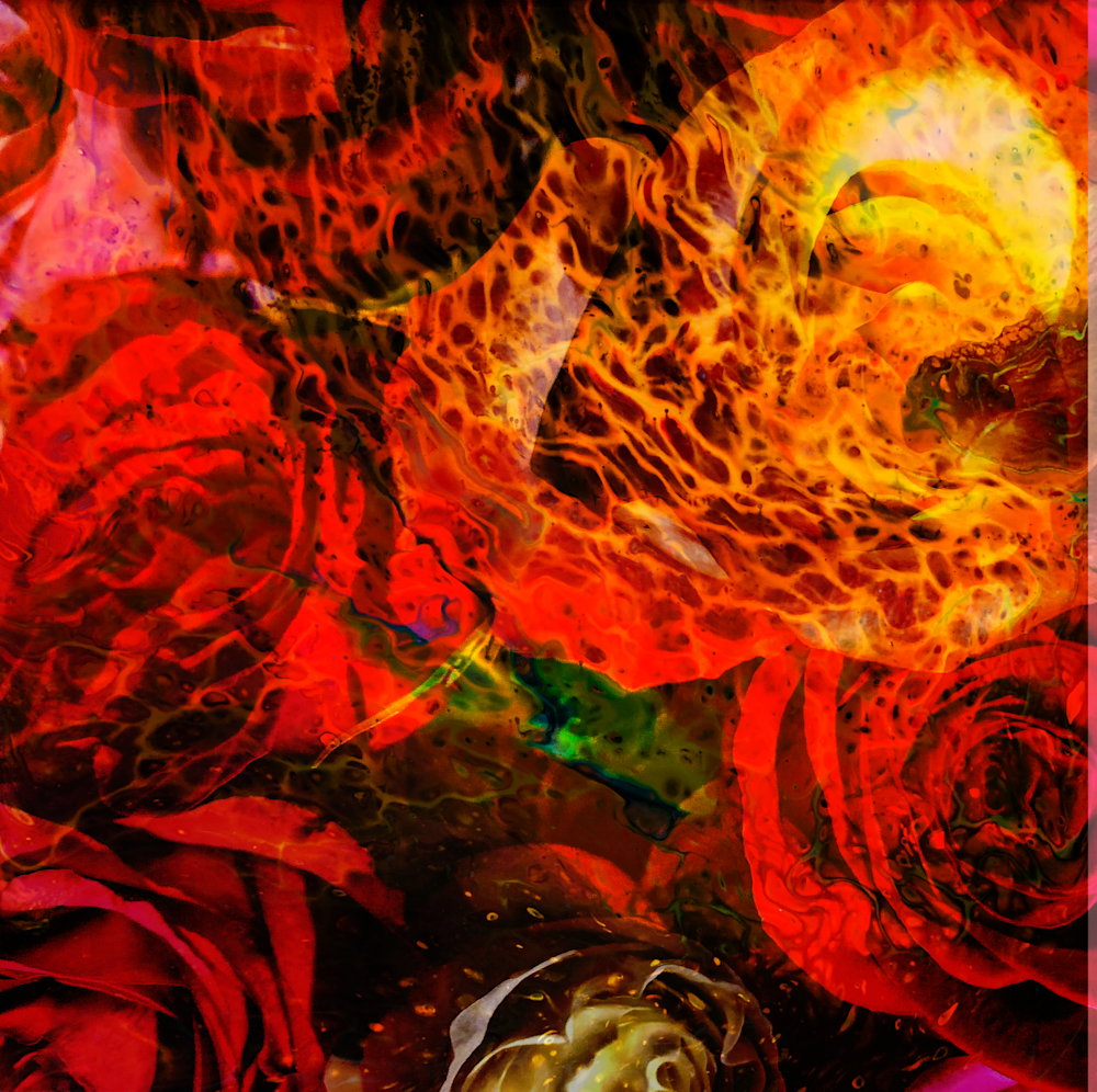 Roses Photography Art | Fire Sign Creations, LLC