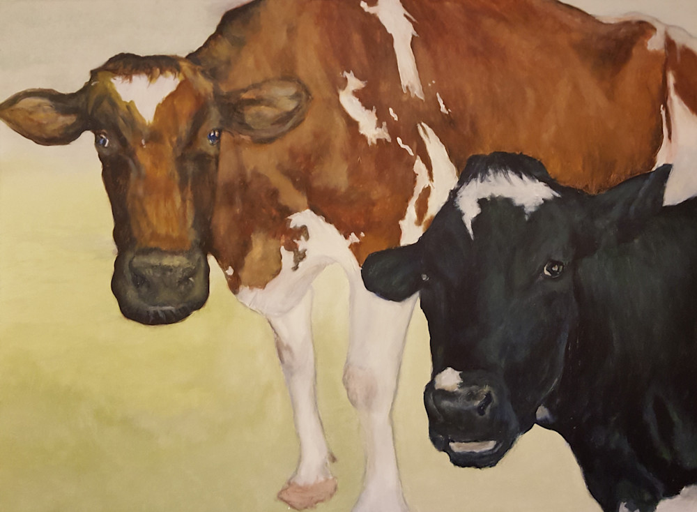 Patrick Family Cows: Ayreshire & Holstein, 2017 Art | Jonathan Mann ART