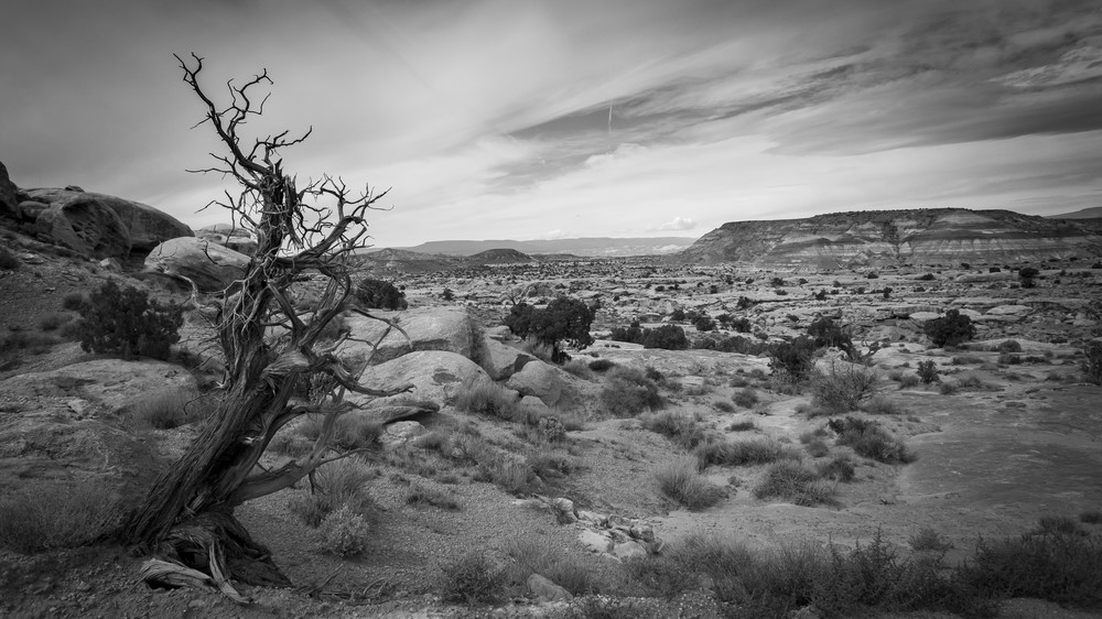 Wasteland Photography Art | Captured Adventure Photography