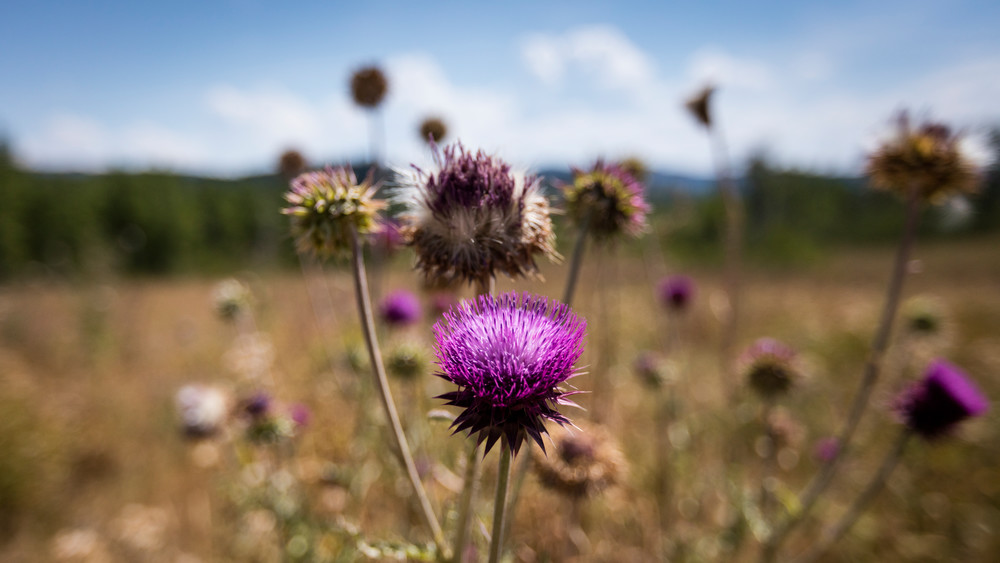 0 Y4 A0839 Photography Art | Captured Adventure Photography