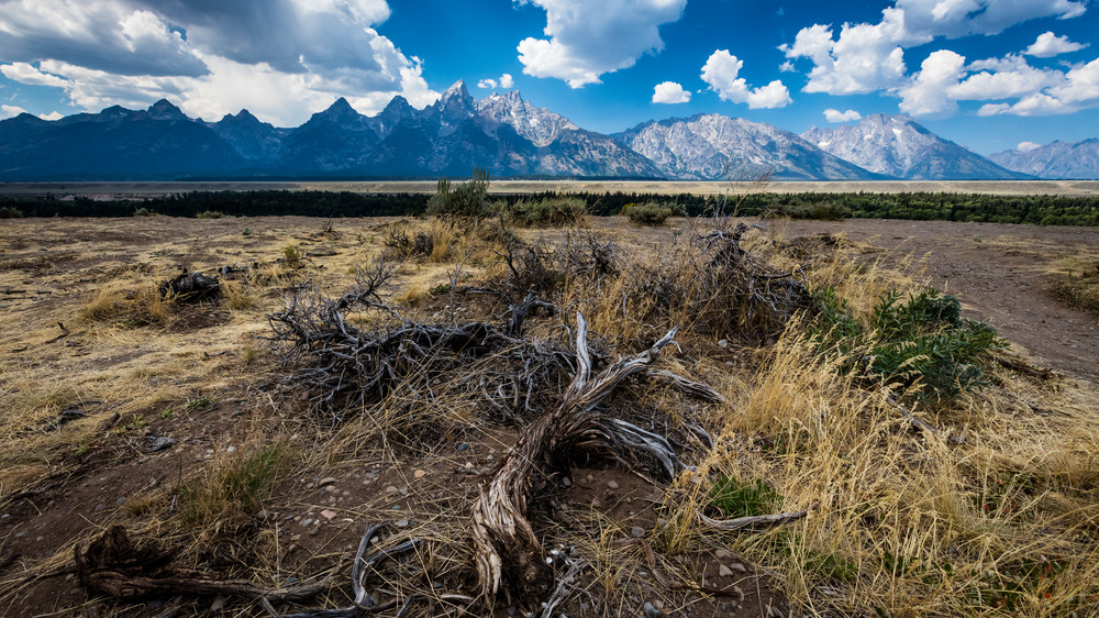 0 Y4 A0992 Photography Art | Captured Adventure Photography