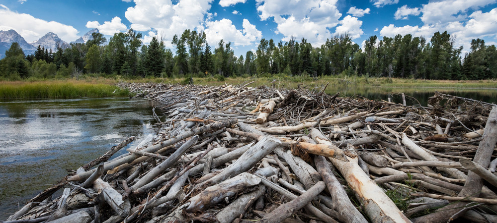 0 Y4 A1136 Photography Art | Captured Adventure Photography