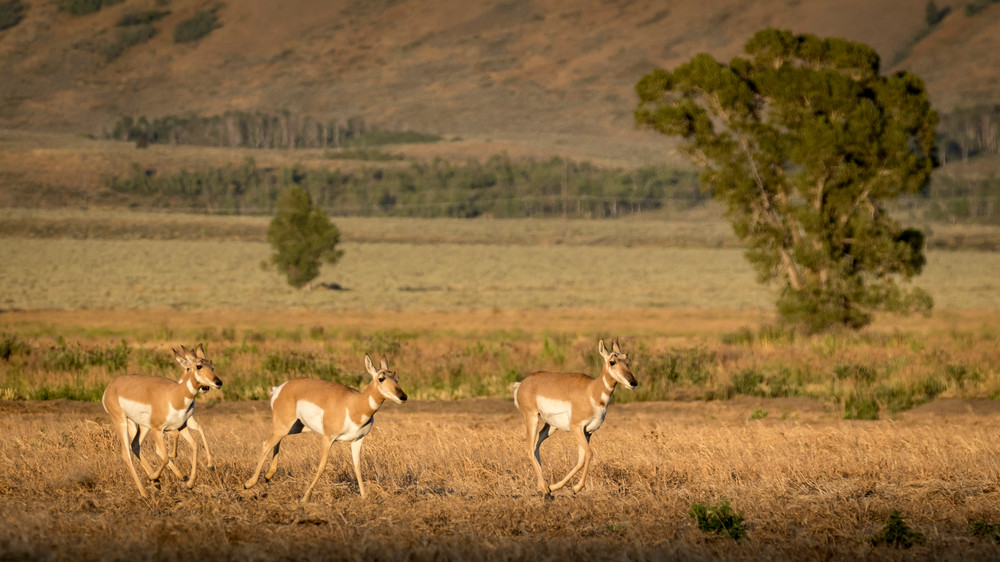 S00 A5652 Photography Art | Captured Adventure Photography