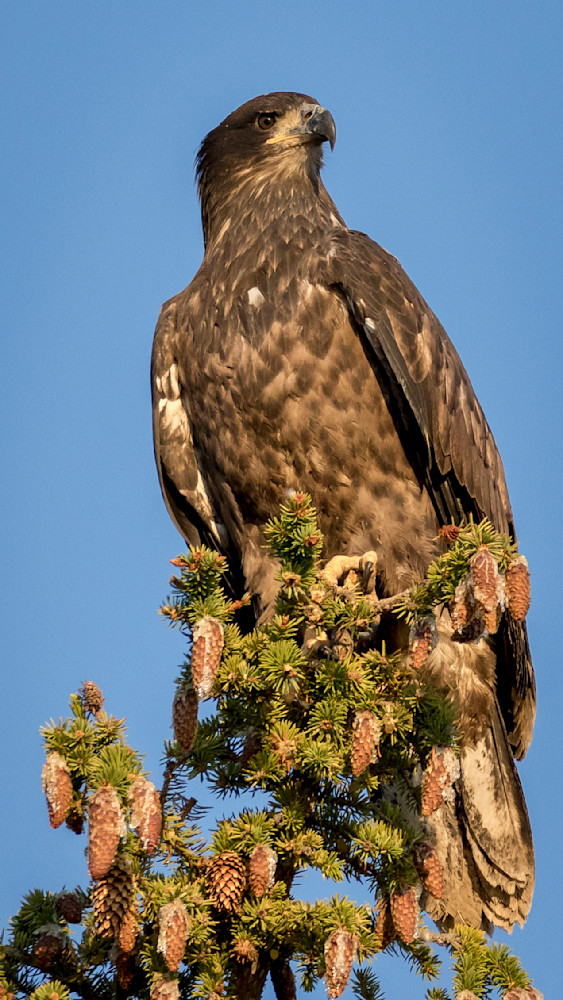 S00 A5889 1 Photography Art | Captured Adventure Photography