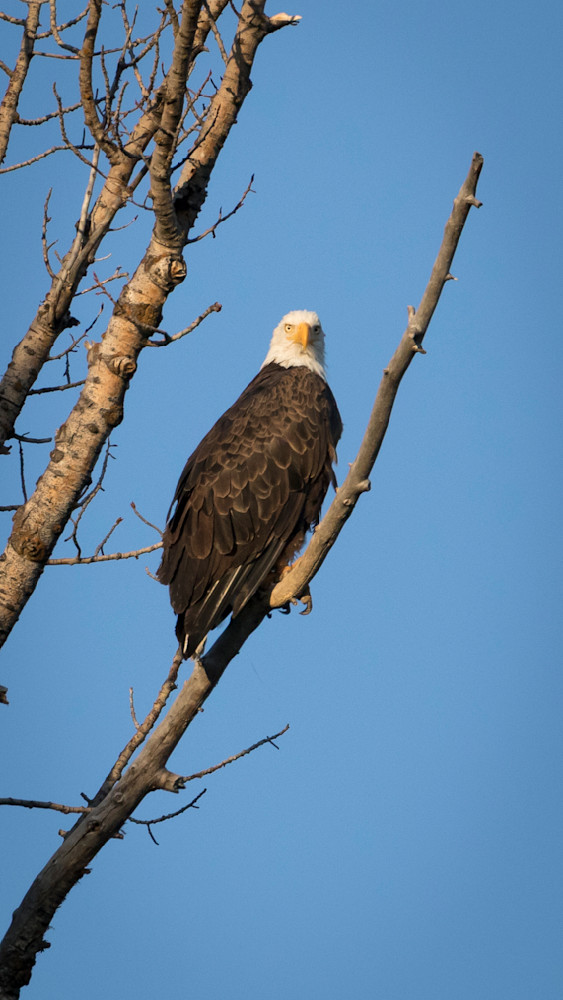 S00 A5934 Photography Art | Captured Adventure Photography