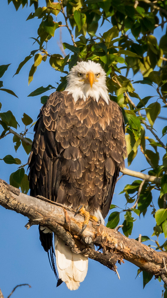 S00 A6064 Photography Art | Captured Adventure Photography