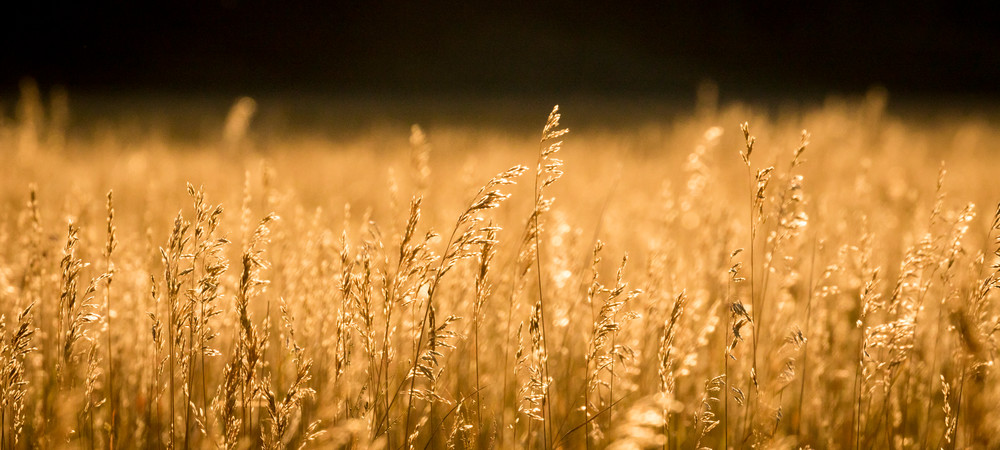 S00 A5659 Photography Art | Captured Adventure Photography