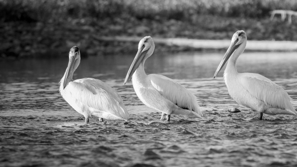 S00 A5980 1 Photography Art | Captured Adventure Photography