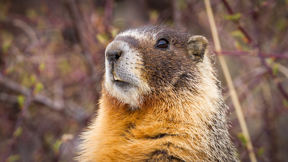 Img 9906 Photography Art | Captured Adventure Photography