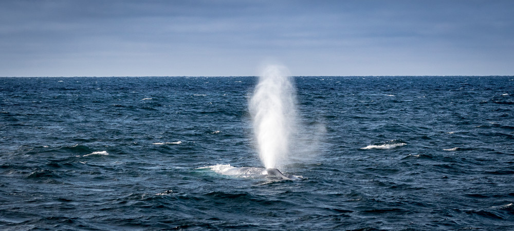 S00 A1228 Photography Art | Captured Adventure Photography