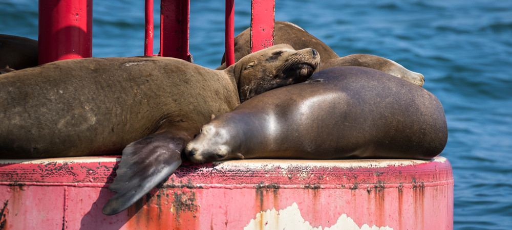 S00 A1429 Photography Art | Captured Adventure Photography