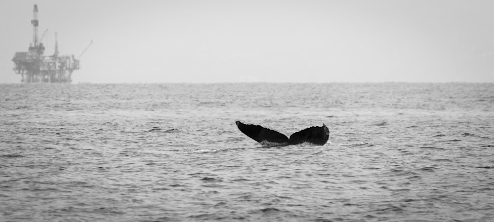 S00 A1535 Photography Art | Captured Adventure Photography