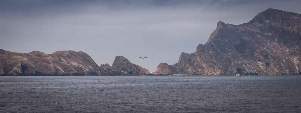 S00 A1867 Photography Art | Captured Adventure Photography