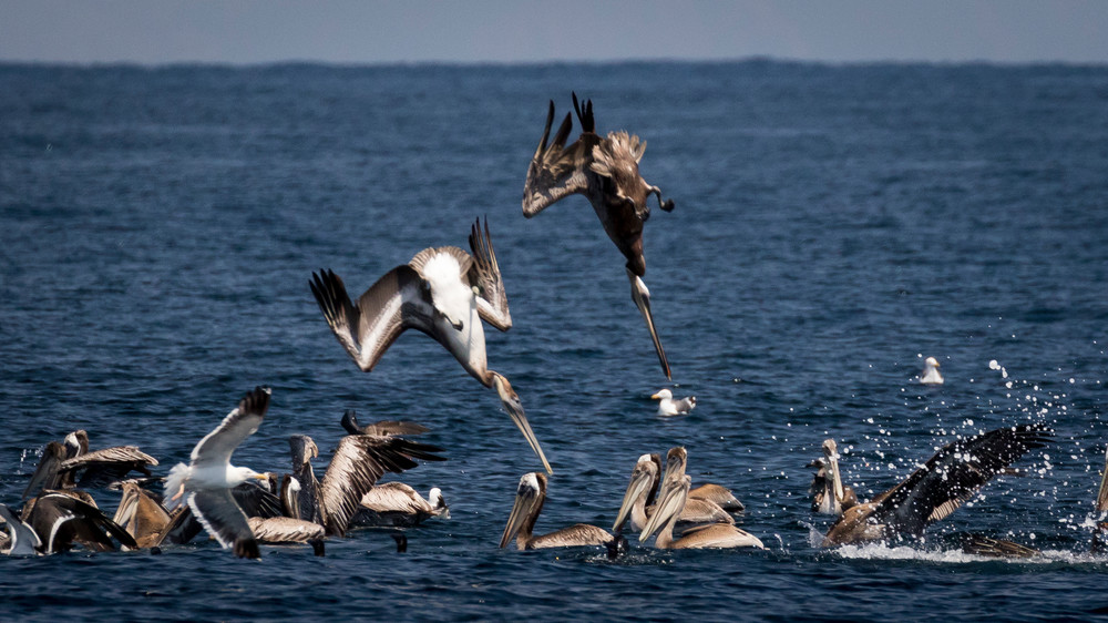 S00 A2110 Photography Art | Captured Adventure Photography