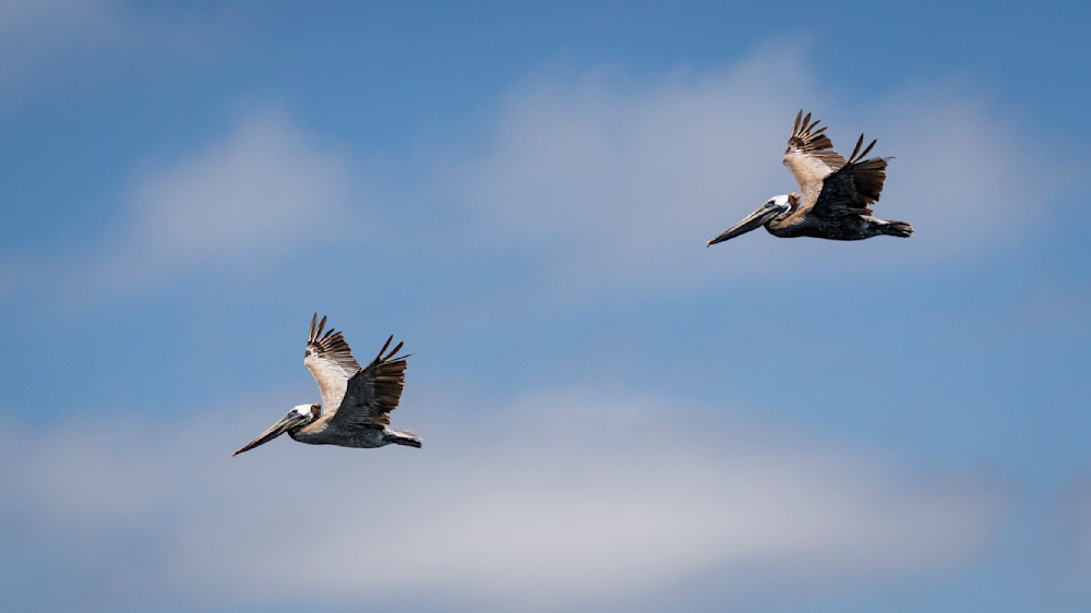 S00 A2276 Photography Art | Captured Adventure Photography