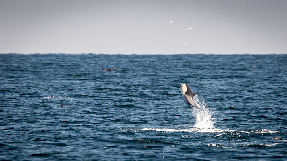 S00 A2510 Photography Art | Captured Adventure Photography