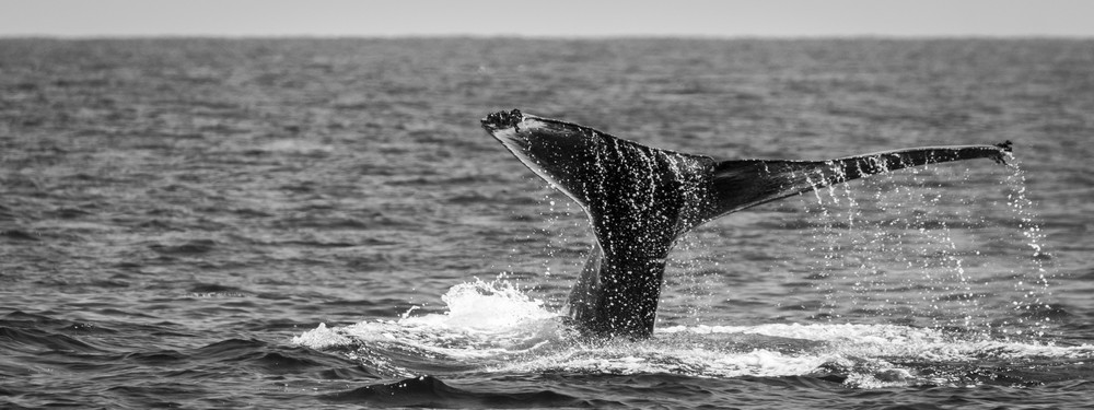 S00 A2483 Photography Art | Captured Adventure Photography