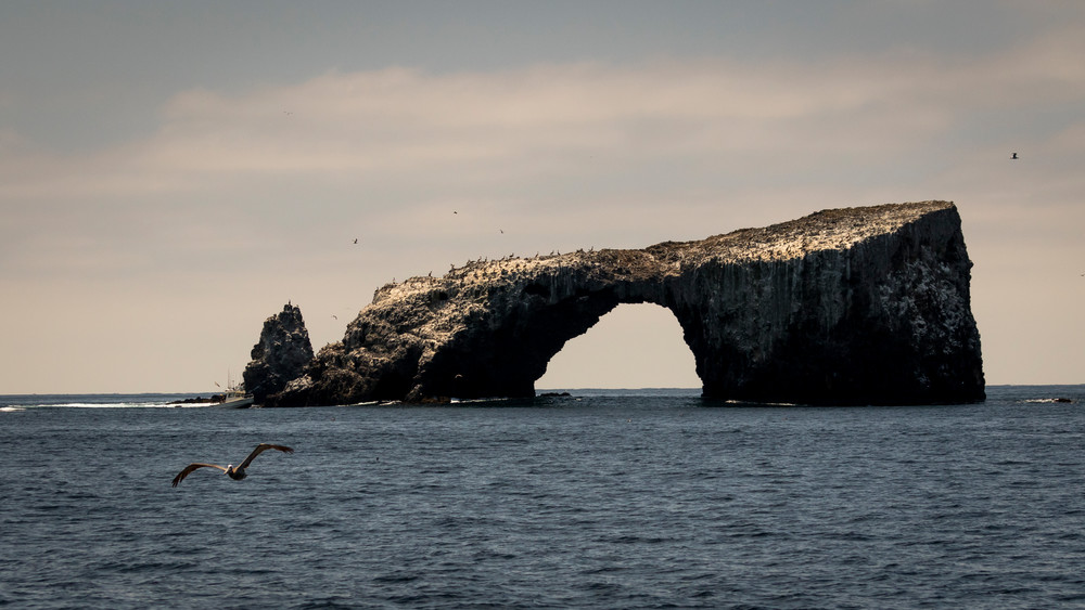 S00 A1986 Photography Art | Captured Adventure Photography