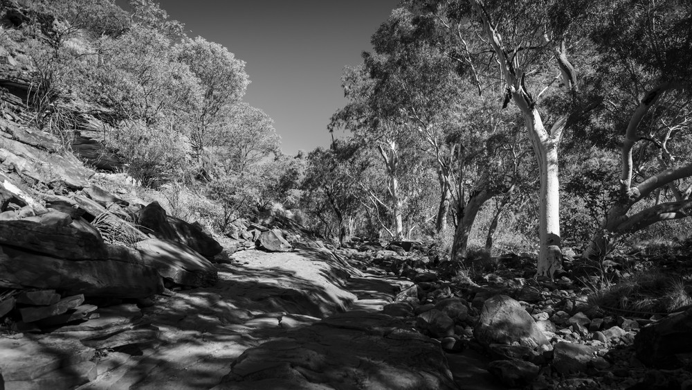 0 Y4 A7156 Photography Art | Captured Adventure Photography