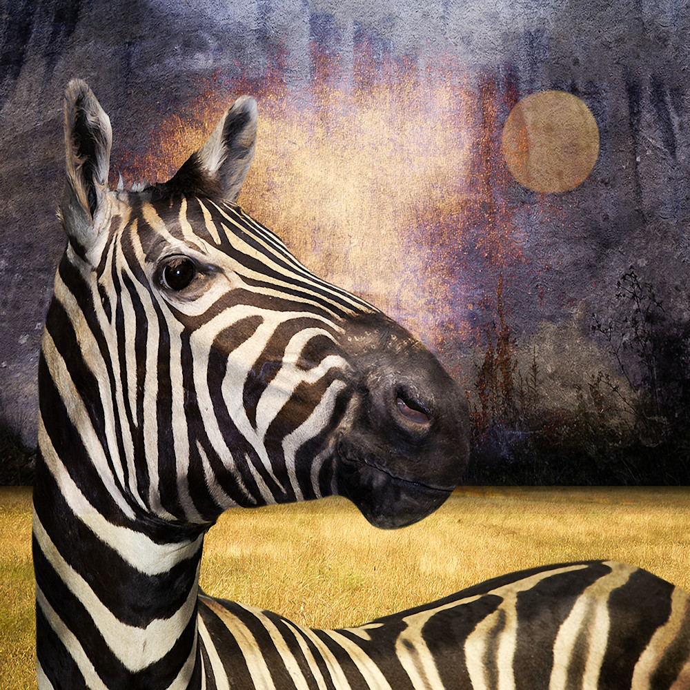 Vincent DiLeo creates unique photographic art. The Zebra is one of his surreal pieces that is available in multiple sizes and frames.