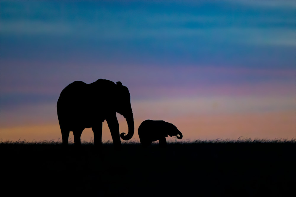 Bedtime Stories Photography Art | danieldauria Bedtime Stories Photography Art | danieldauria