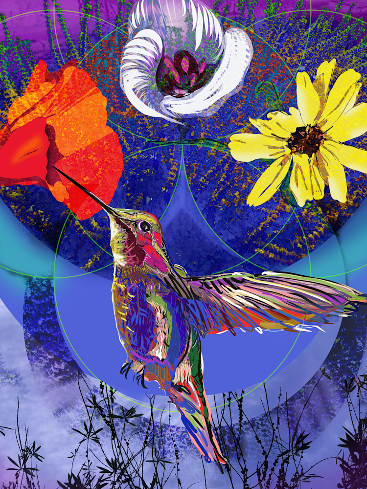 Night Hummingbird Art | Emily Tanaka - Have to Create