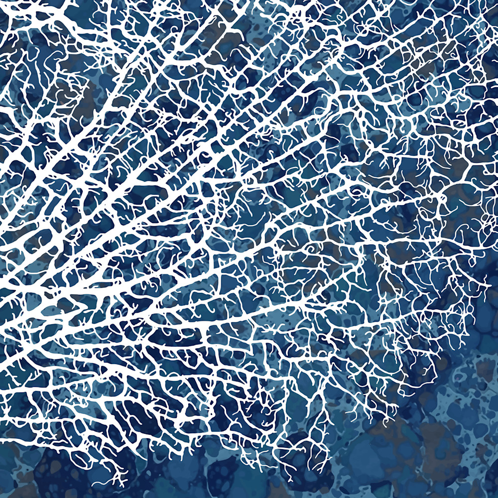 Sea Fan, Blue Depth (R) Art | Elena Lipkowski Fine Arts