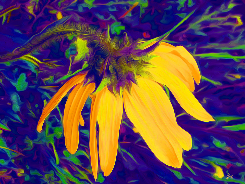 Nodding Sunflower No. 1 print of photograph taken in the San Juan Mountains transformed into digital art for sale by Maureen Wilks