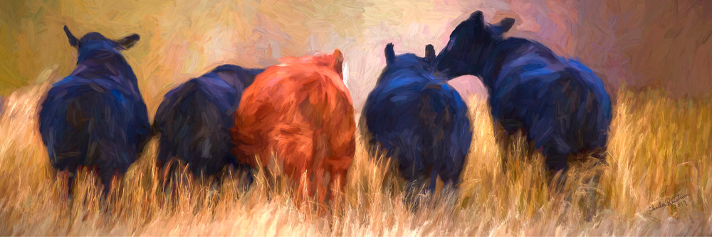 Following Northbound Cows Art | chuckrenstrom.com