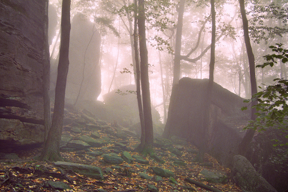 Faerie Land Faerie Land