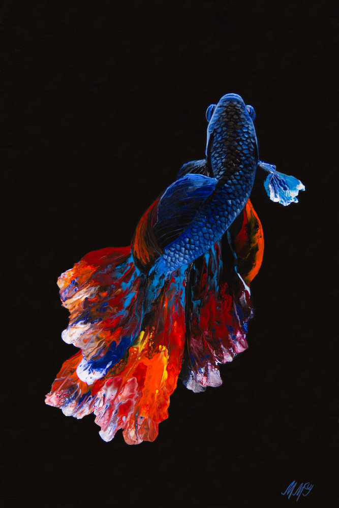 Beta Fish Beta Fish
