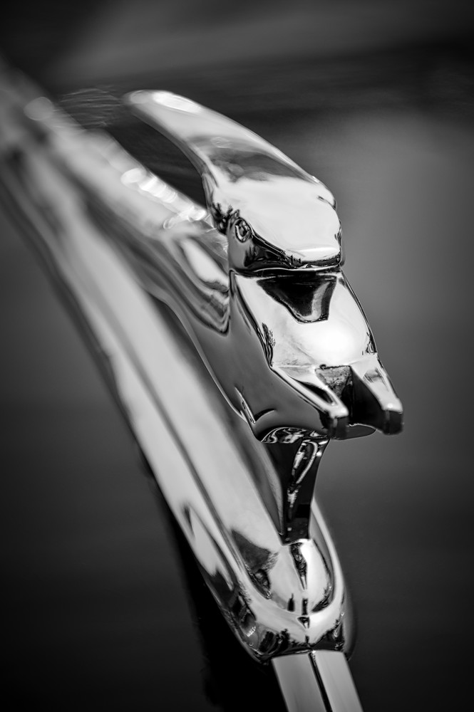 Chevelle Hood Ornament
