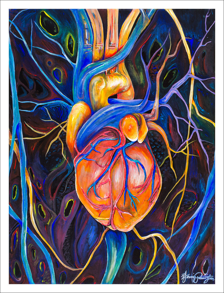 Human Heart (Anatomy) Art | Jamila Art Gallery