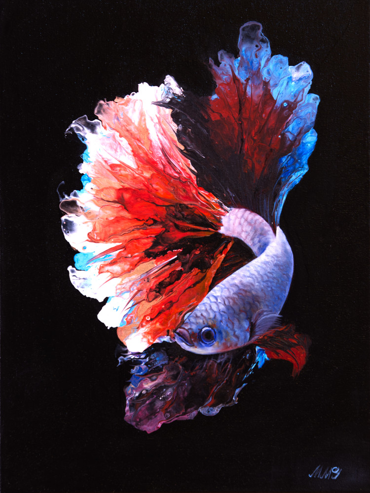 Crowntail Betta Crowntail Betta