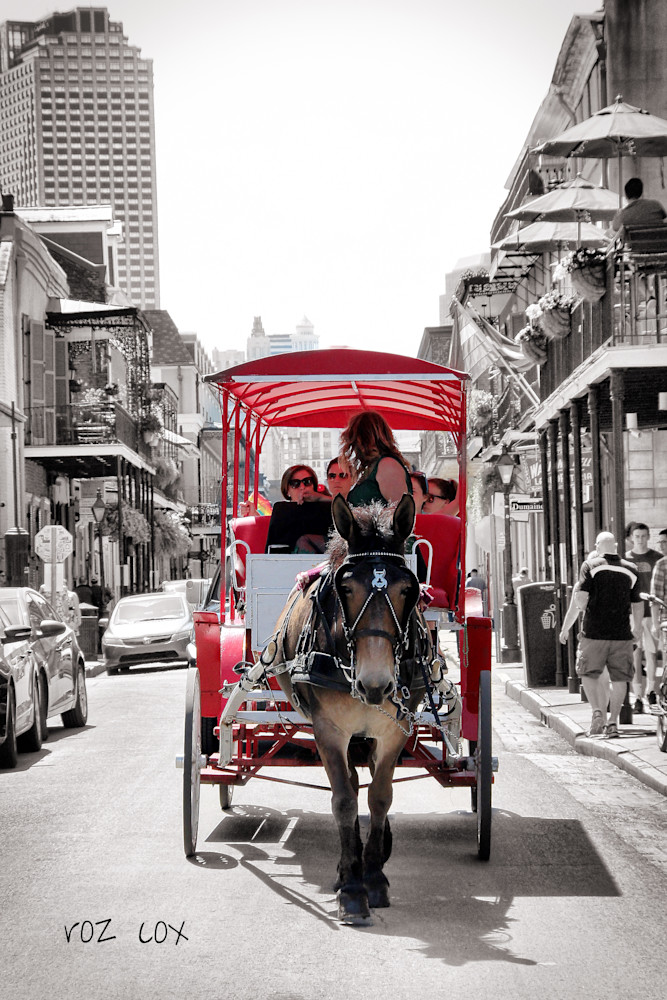 Carriage French Quarter Decatur Street