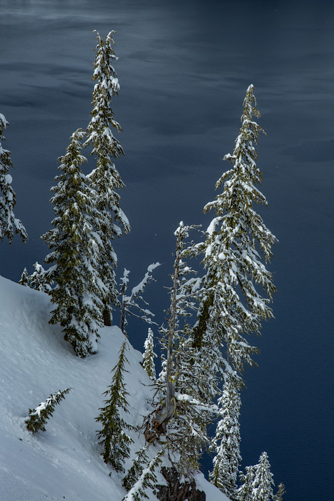 Trees In Winter, Crater Lake Photography Art | Lovere Photography