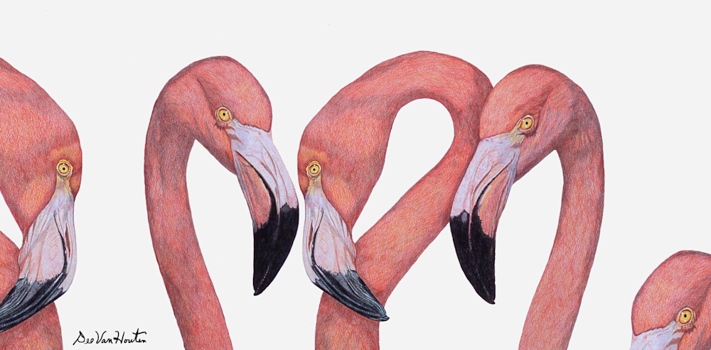 "Flamingo Talk" Fine Art Giclee Print