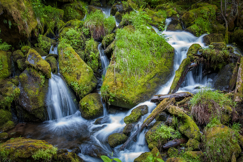 Mossy boulders and water