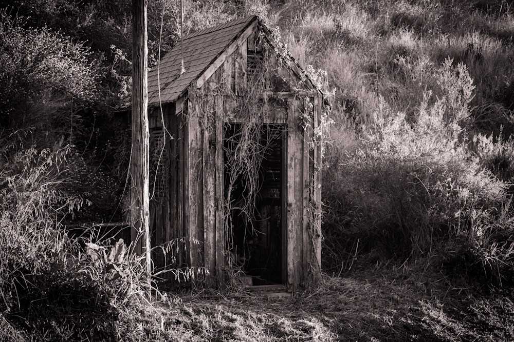 Antique Shed in Black and White - California old building architecture photograph print