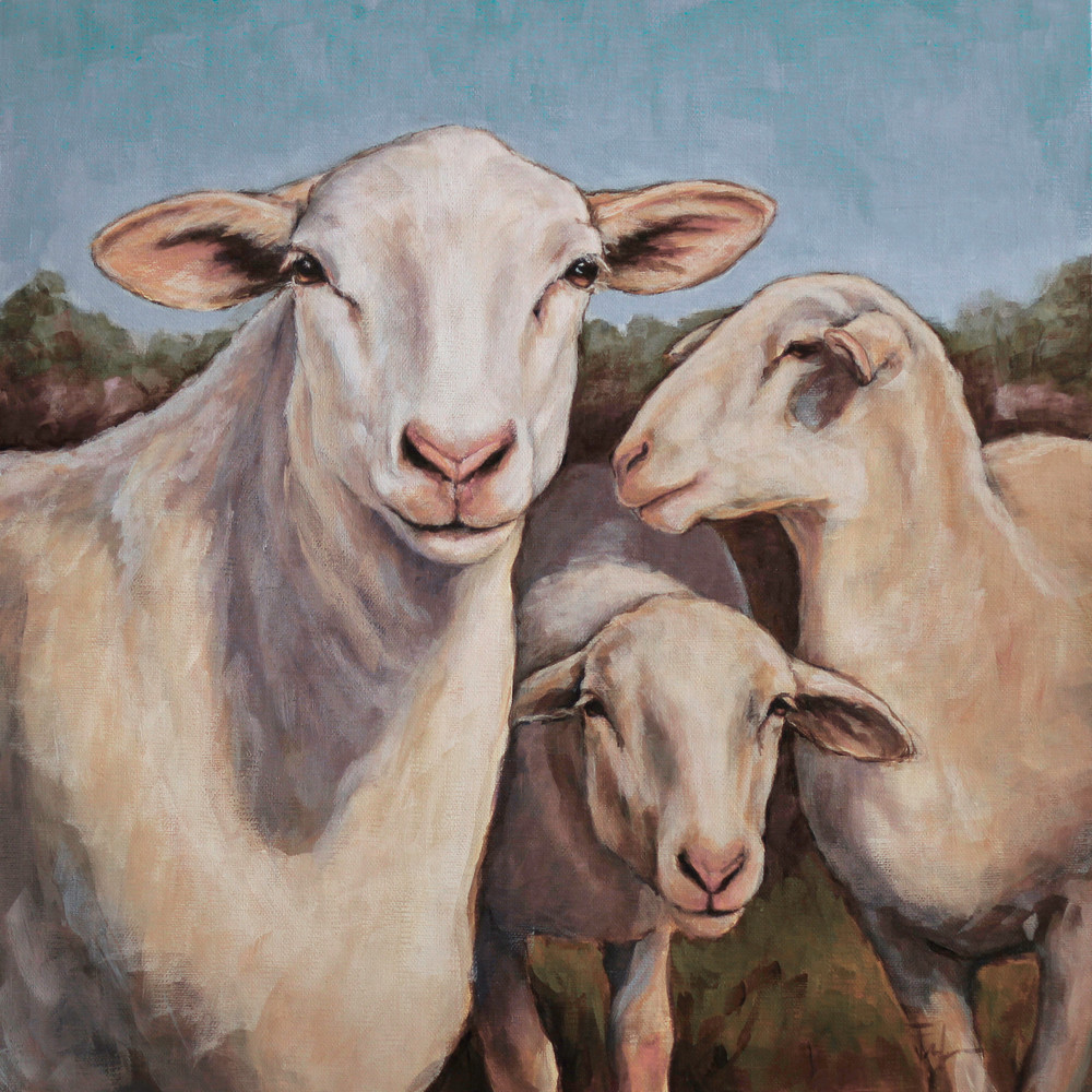 Ewe Talkin To Me Art | Joan Frimberger Fine Art