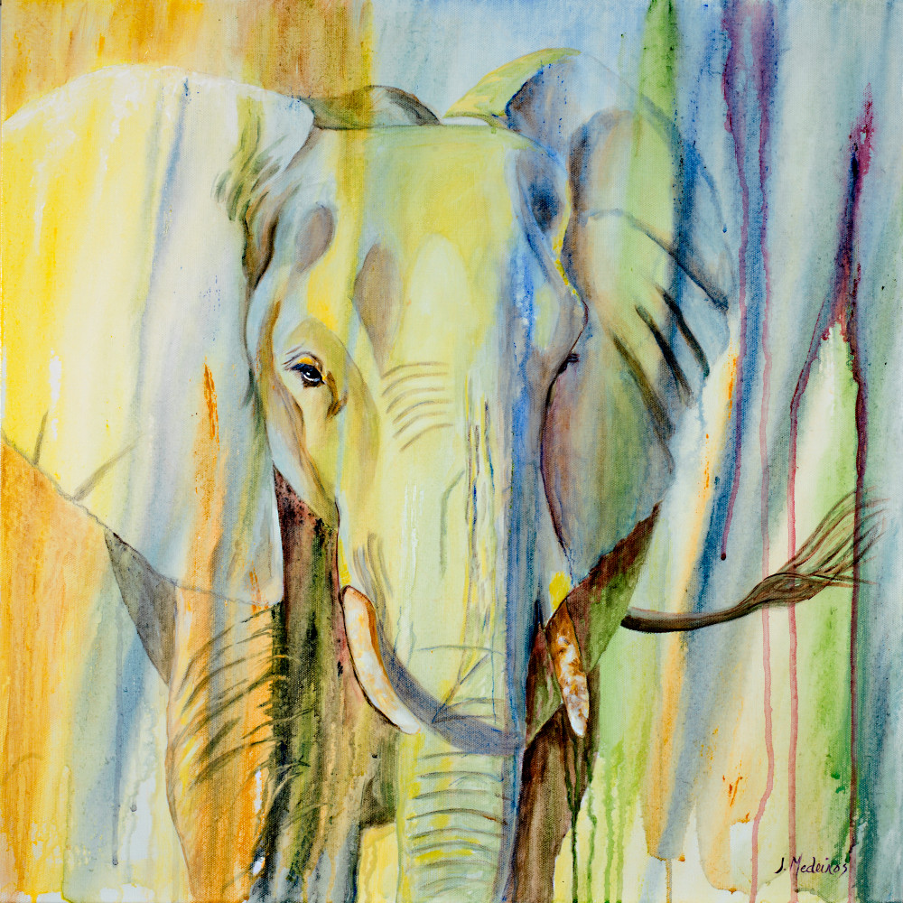 Elephant Of Timbavati Art | J. Medeiros Fine Art