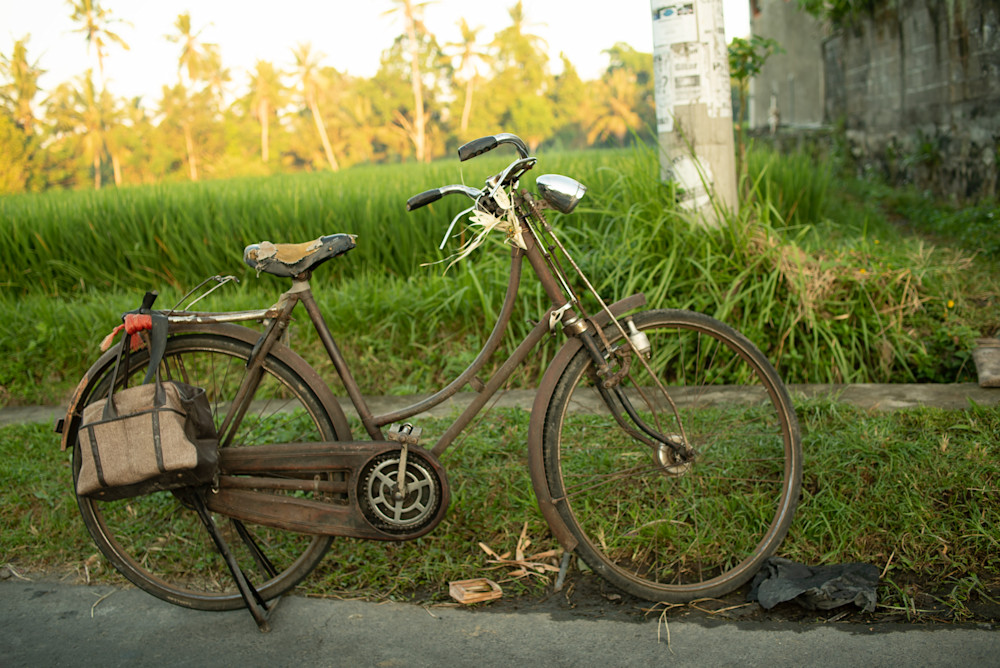 Bike, Ubud, Bali Photography Art | Photography's Dead