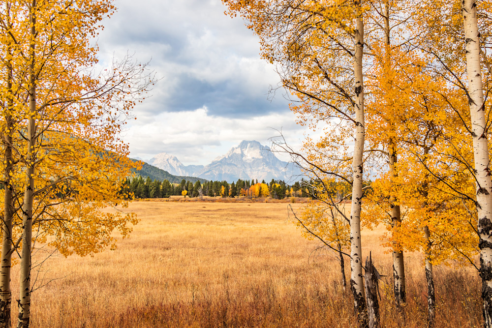 There's Gold In The Tetons Art | Don Peterson Photography