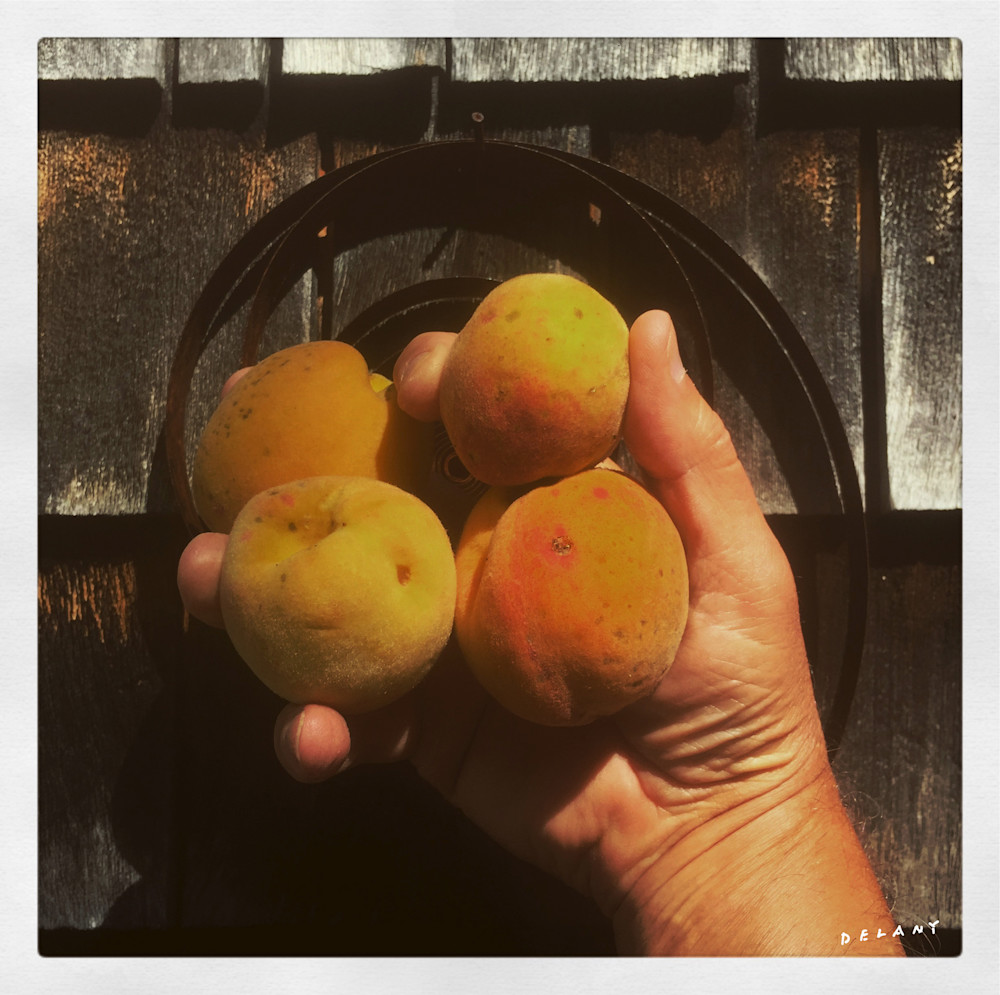 4 Peaches Instagram Print 