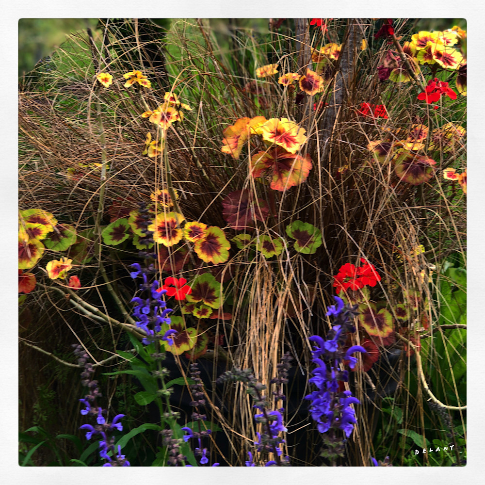 Wildflowers Gone Wild Instagram Print 