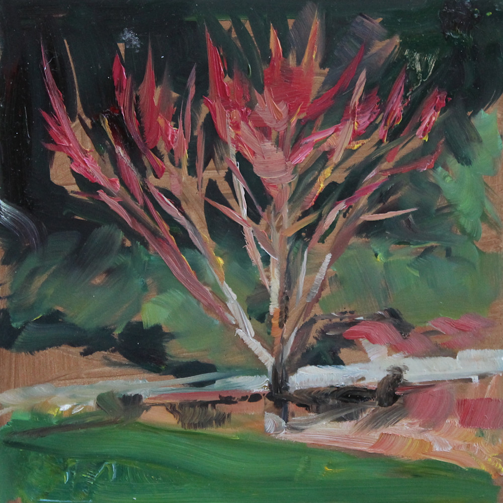 Bright red spring tree aglow in green landscape