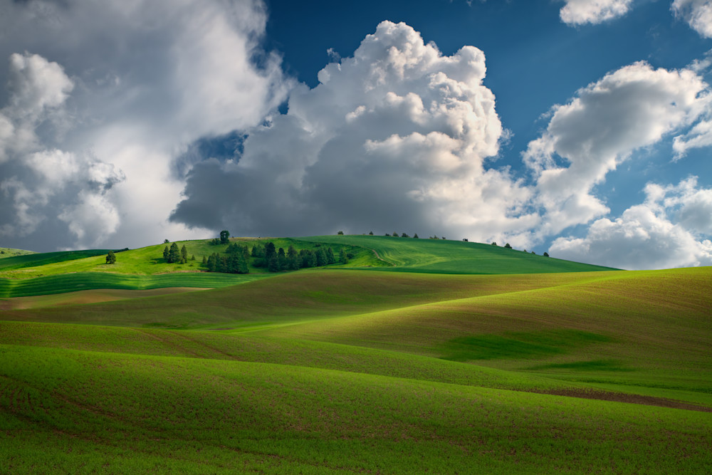 Afternoon Bliss in the Palouse | Shop Photography by Rick Berk
