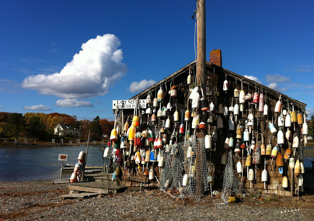 Maine Lobster Buoys in Fall Photo Print 